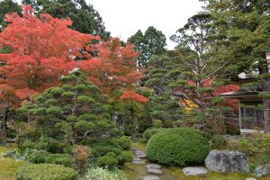 梅村庭園の紅葉