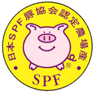 SPF豚