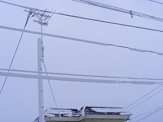 電線の下に積もる雪