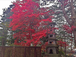 町内梅村庭園の紅葉