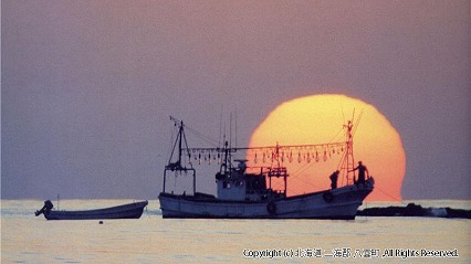 綺麗な太陽の活動は激しい