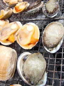 新鮮なあわびとエゾバカガイ（アオヤギ）の炭火焼！ 