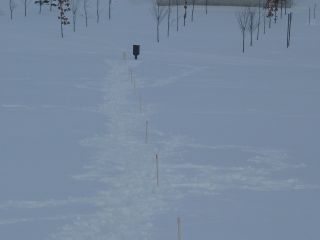 コースに設置した目印