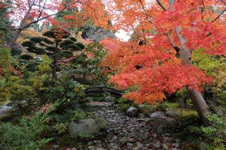 枯山水と紅葉