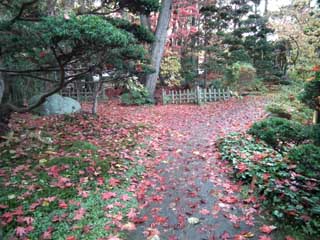 紅葉の小道