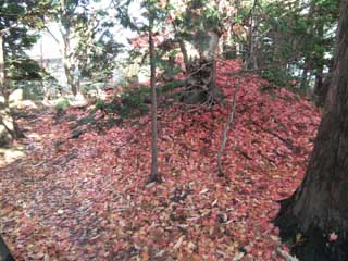 紅葉の築山