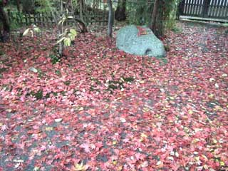 紅葉の庭