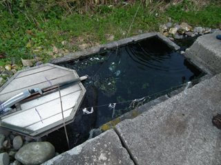 佐藤温泉跡と思われる溜池