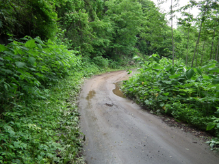 熊嶺に向かう道路