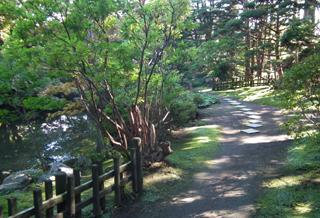 梅村庭園の紅葉２