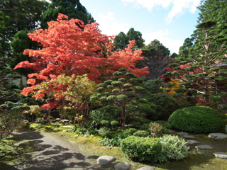 梅村庭園の紅葉５