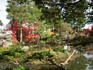 植村庭園の紅葉６