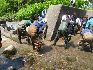 魚道清掃に汗を流す