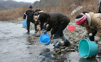 関内小サケ稚魚放流