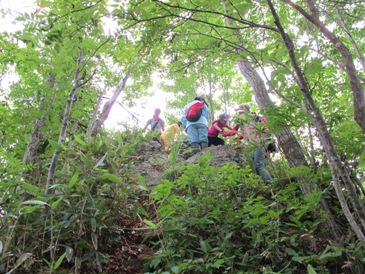 登山