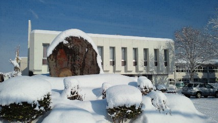 雪風景