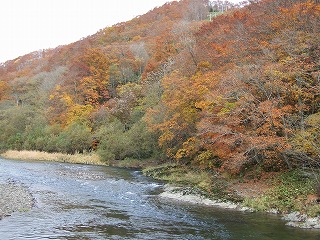 上八雲の紅葉