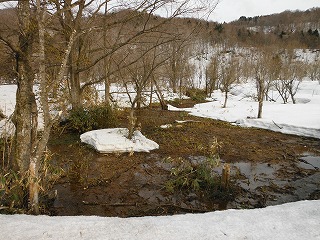 遊楽部川の融雪