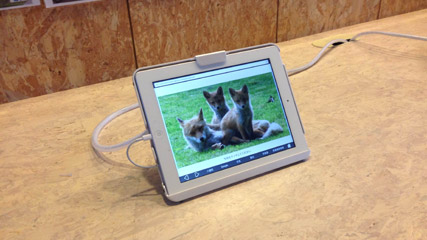 iPad