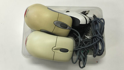 マウス