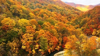雲石峡の紅葉