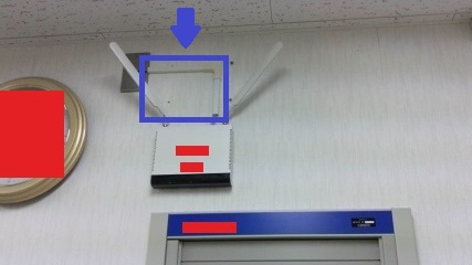 壁のモールの写真