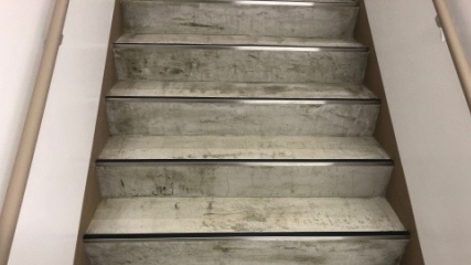 本日利用した施設の階段の写真