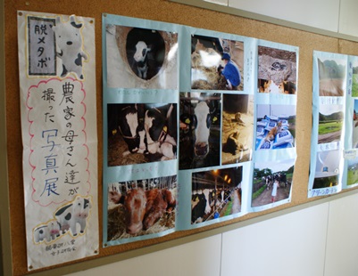 展示1