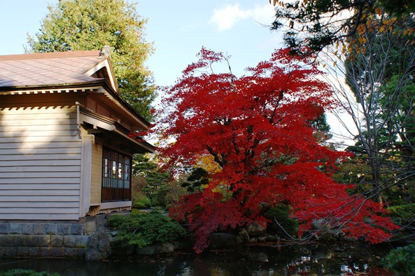 梅村庭園の紅葉