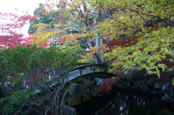 梅村庭園の紅葉