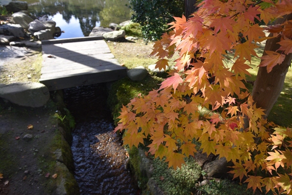 梅村庭園の様子