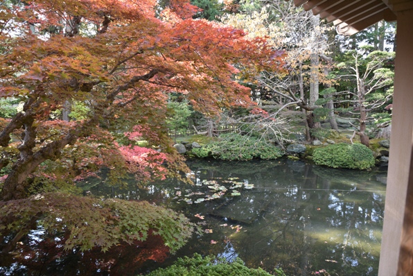 梅村庭園離れからの景色