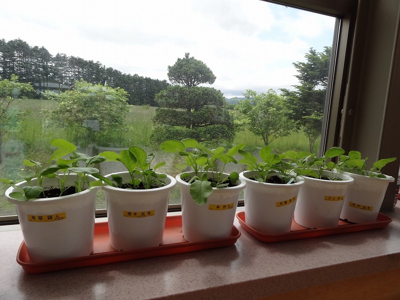 C 生物育成に関する技術 技術科 野田生中学校ブログ