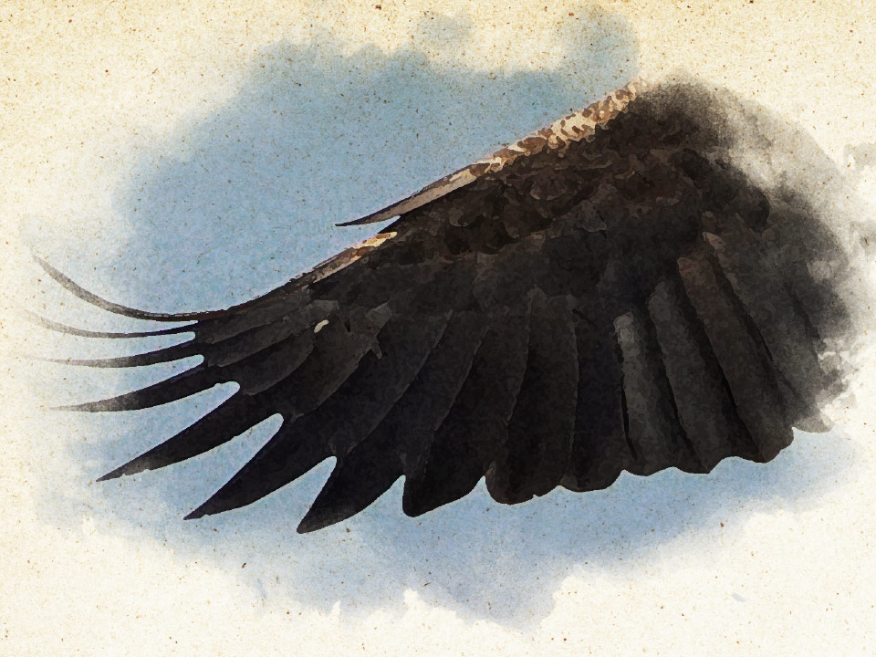 The Giant Bird of Mount Yurappudake