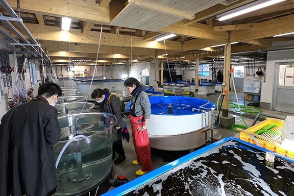 熊石地域水産試験プロジェクト