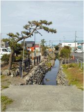 吉田川の画像