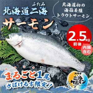 北海道二海サーモン１