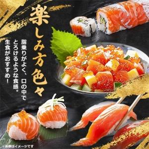北海道二海サーモン３