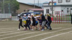 ６年むかで