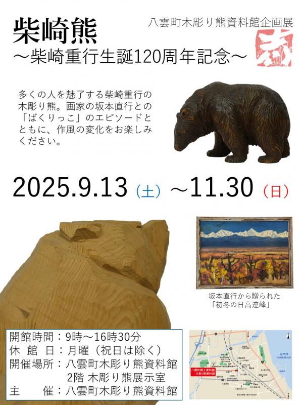 柴崎展ポスター