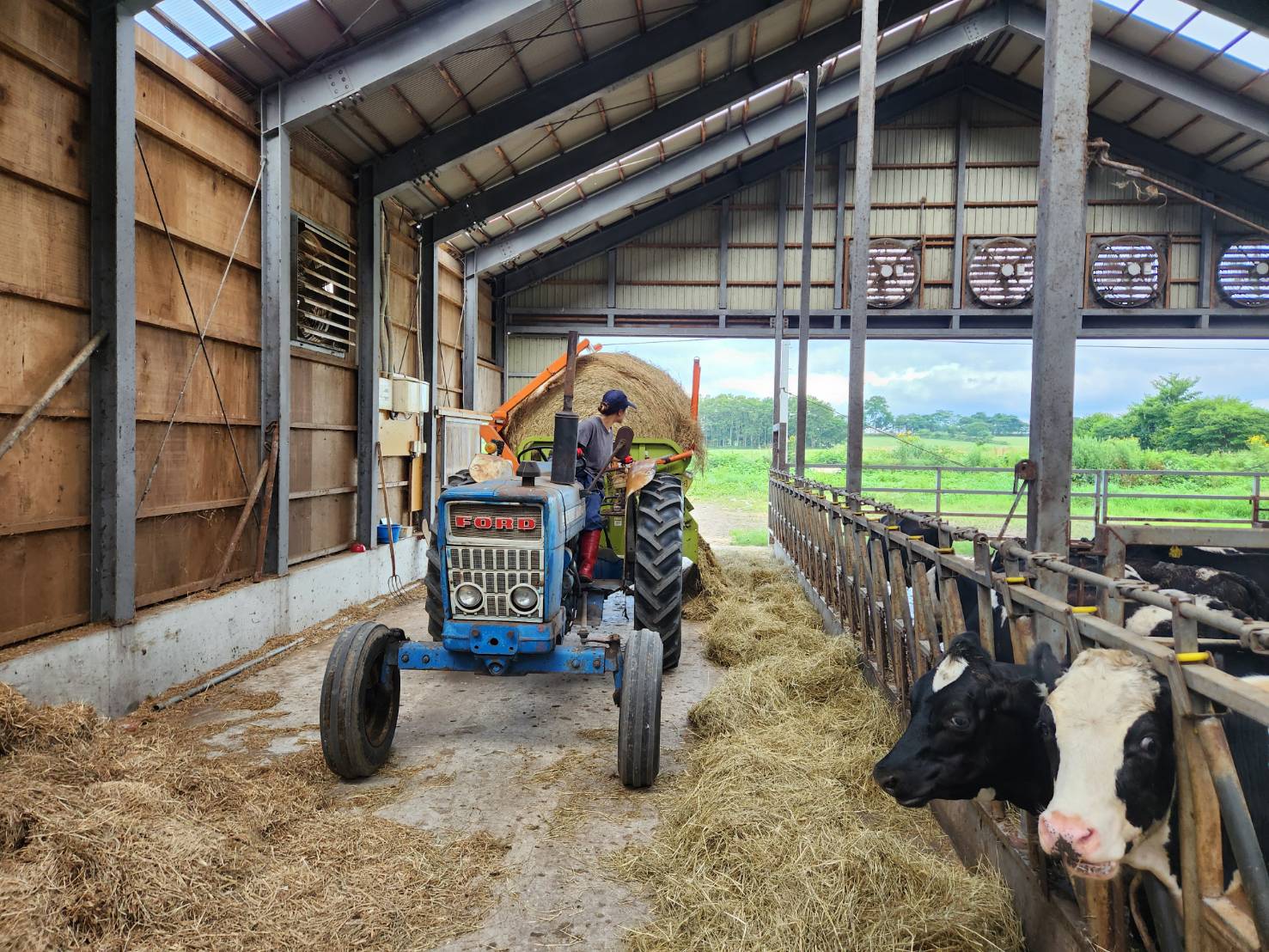 トラクターで草やり