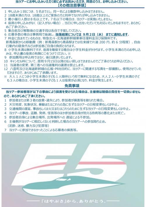 チラシ裏面