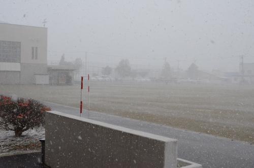 初めての本格的な雪で白くなるグラウンド