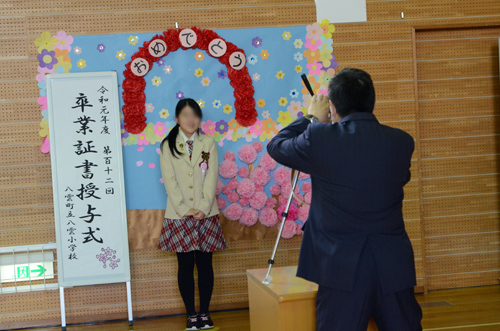 写真鳥の様子