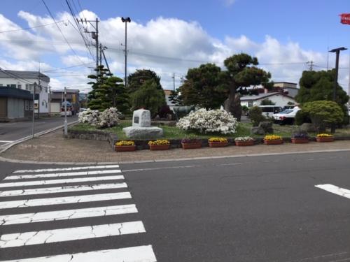 駐車場横のつつじ