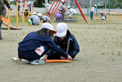 観察の様子2