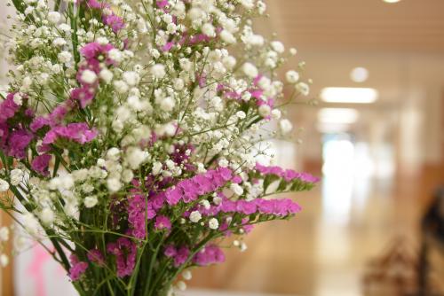 きれいな花が子供たちをお出迎え