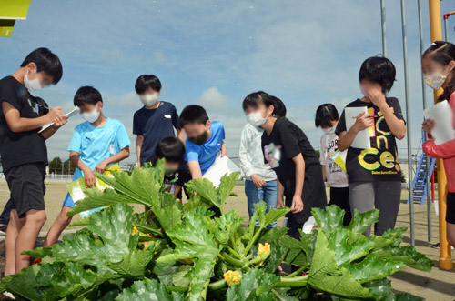 植物を観察する子供たち1