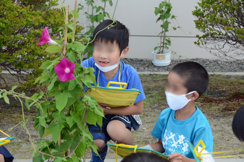 観察し記録を残す1年生4