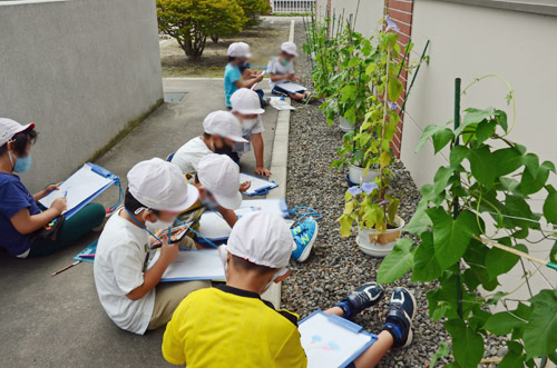 朝顔を観察する1年生